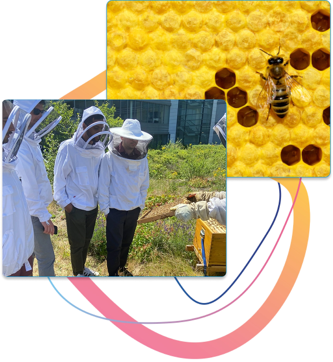 sustainabilty 2